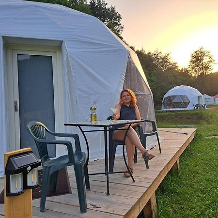 Forest Glamping Brassó Kültér fotó
