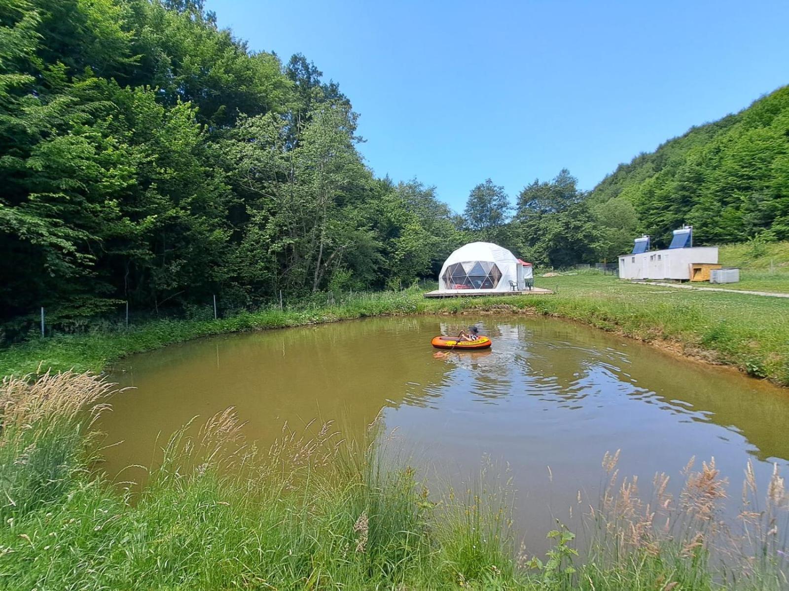 Forest Glamping Brassó Kültér fotó
