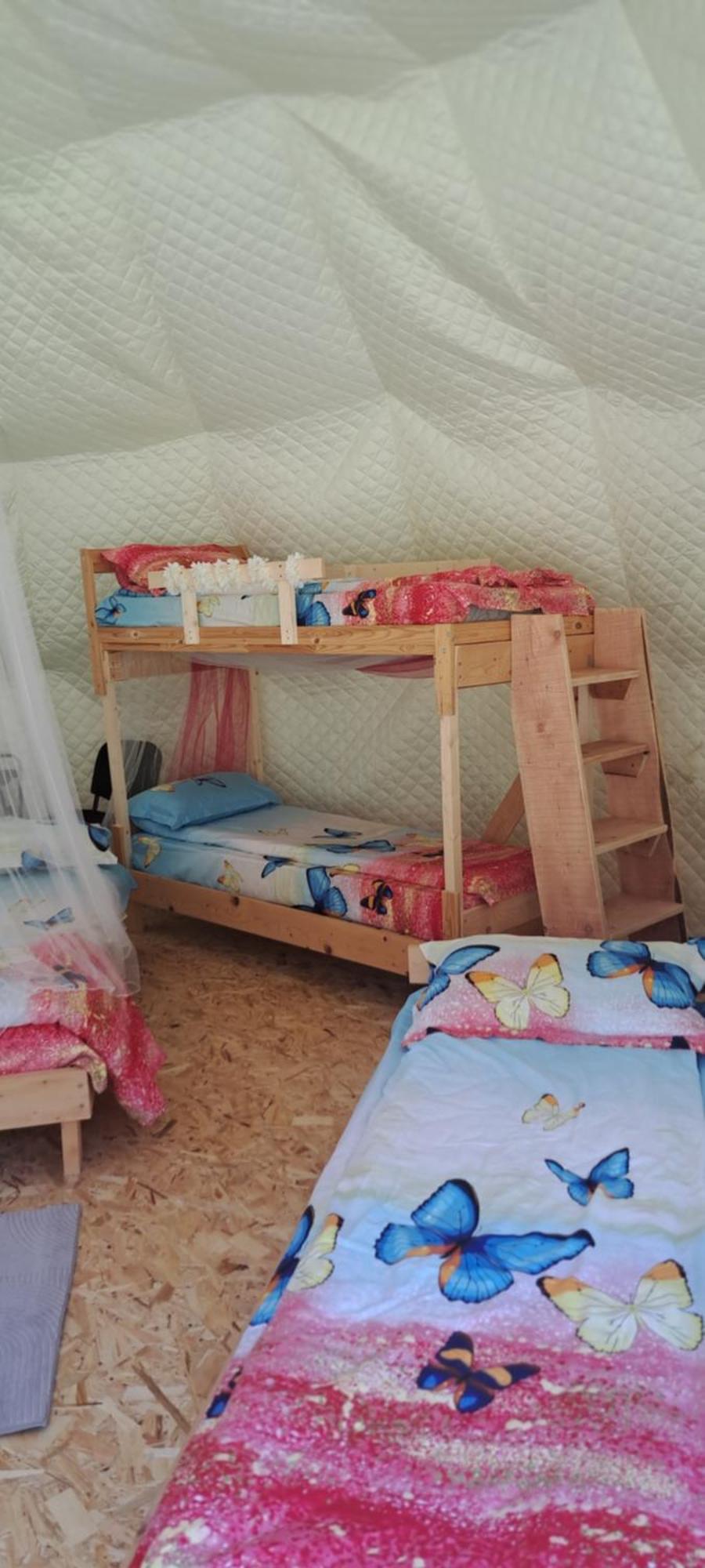 Forest Glamping Brassó Kültér fotó