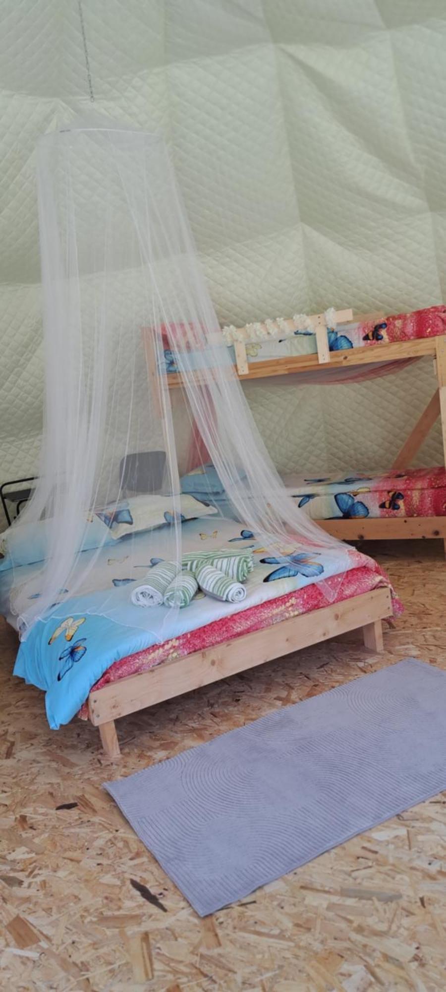 Forest Glamping Brassó Kültér fotó