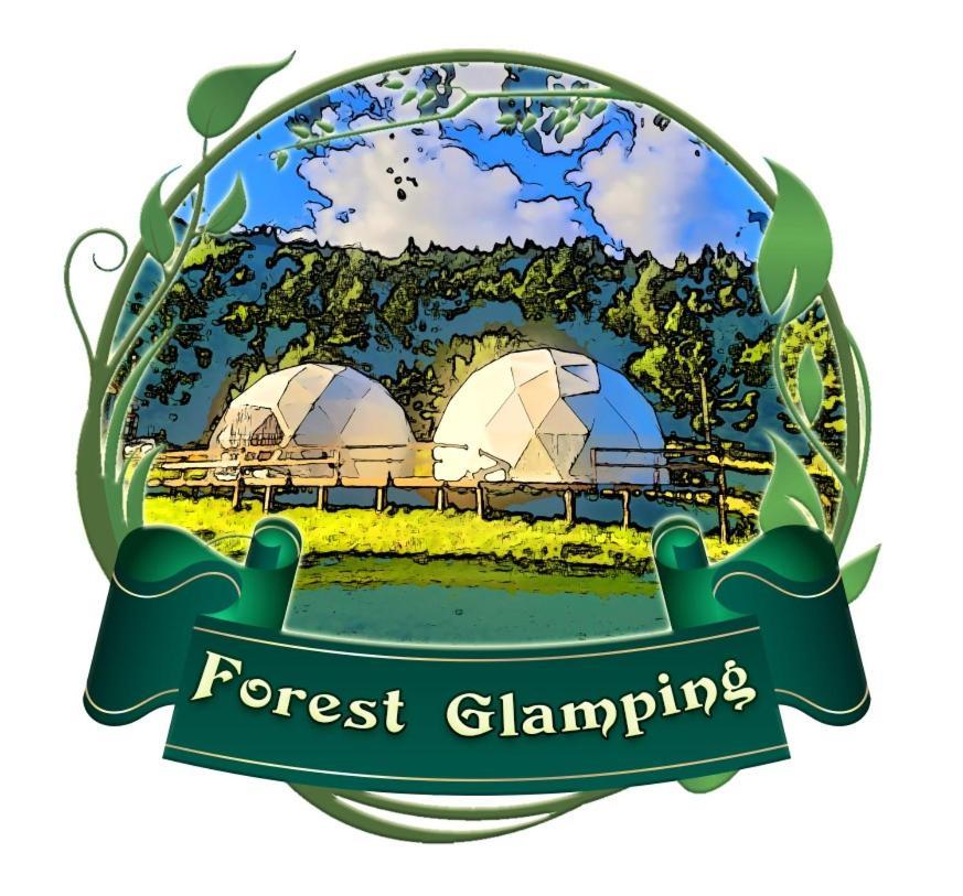 Forest Glamping Brassó Kültér fotó