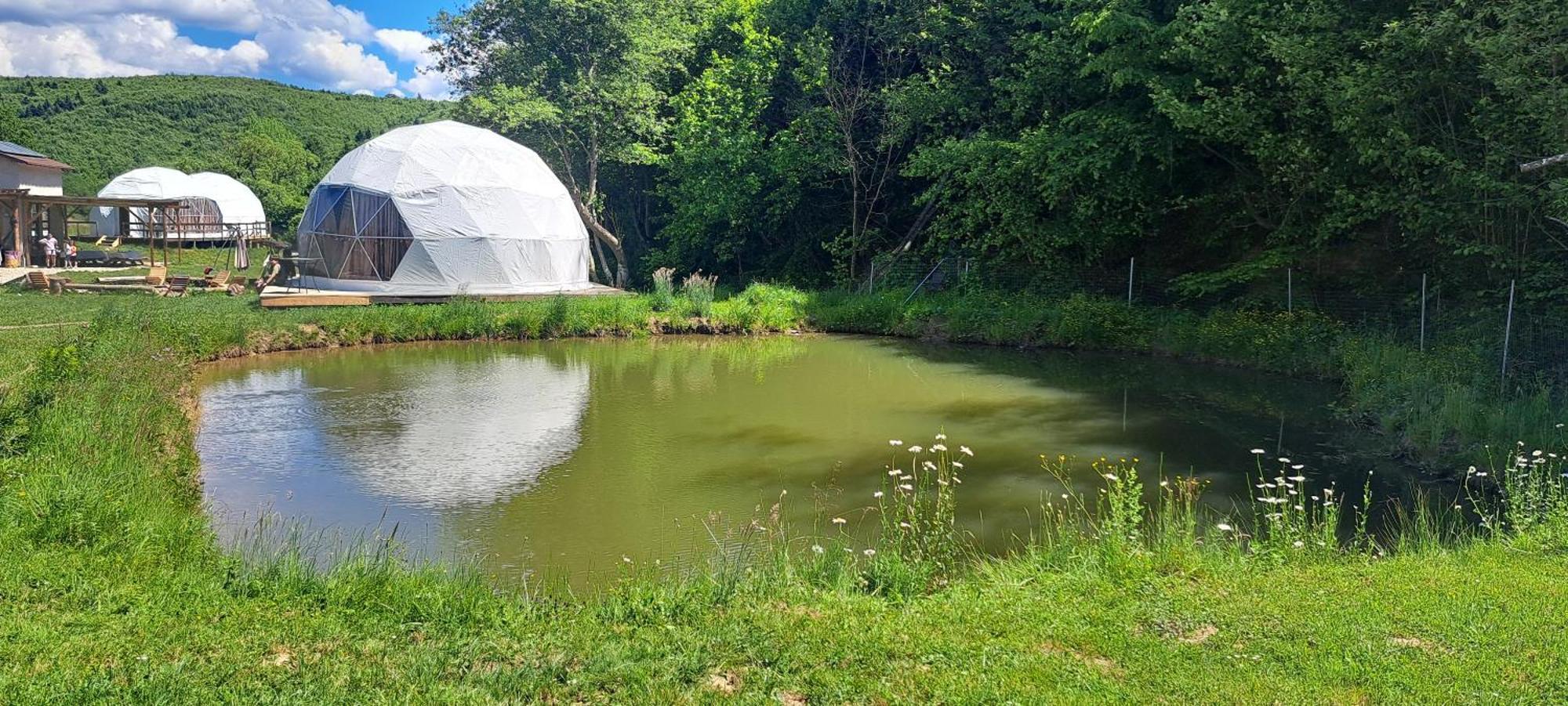 Forest Glamping Brassó Kültér fotó