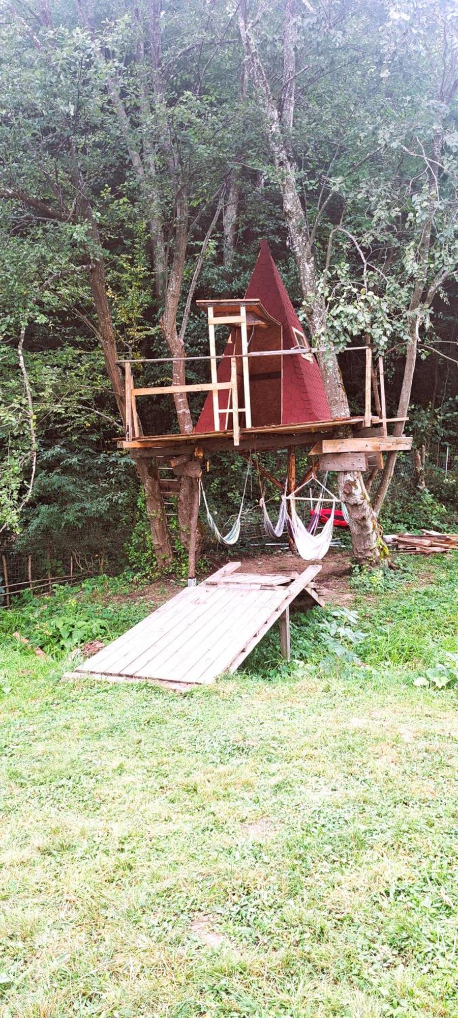 Forest Glamping Brassó Kültér fotó